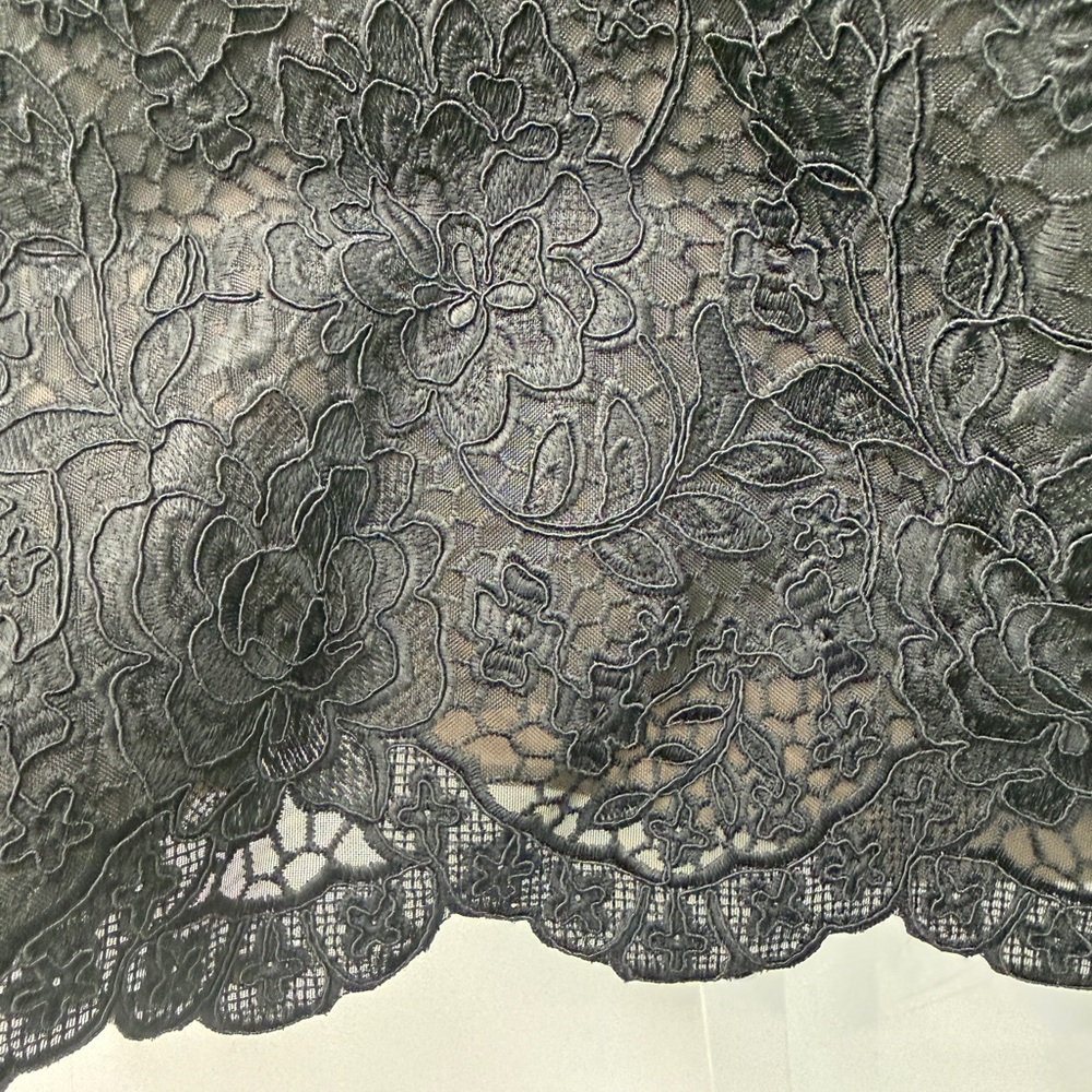 Nadine Merabi Addison Long Sleeve Lace Overlay Cocktail Minidress in size 6 NWT - Picture 11 of 11